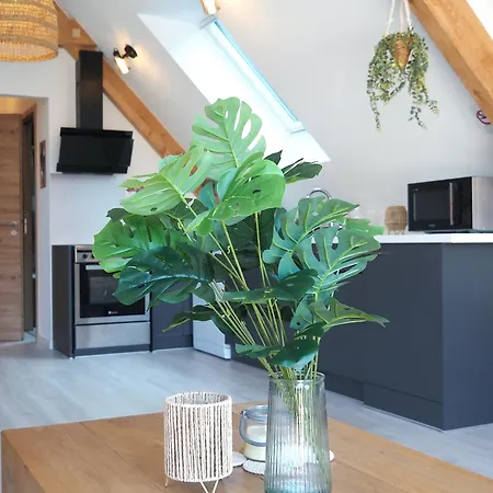 Entre Terre & Air * Mackenheim